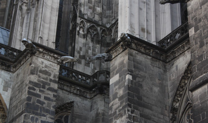 Stadtführung »Nur der Dom und nur von außen« Kölner Dom, Chor, Wasserspeier